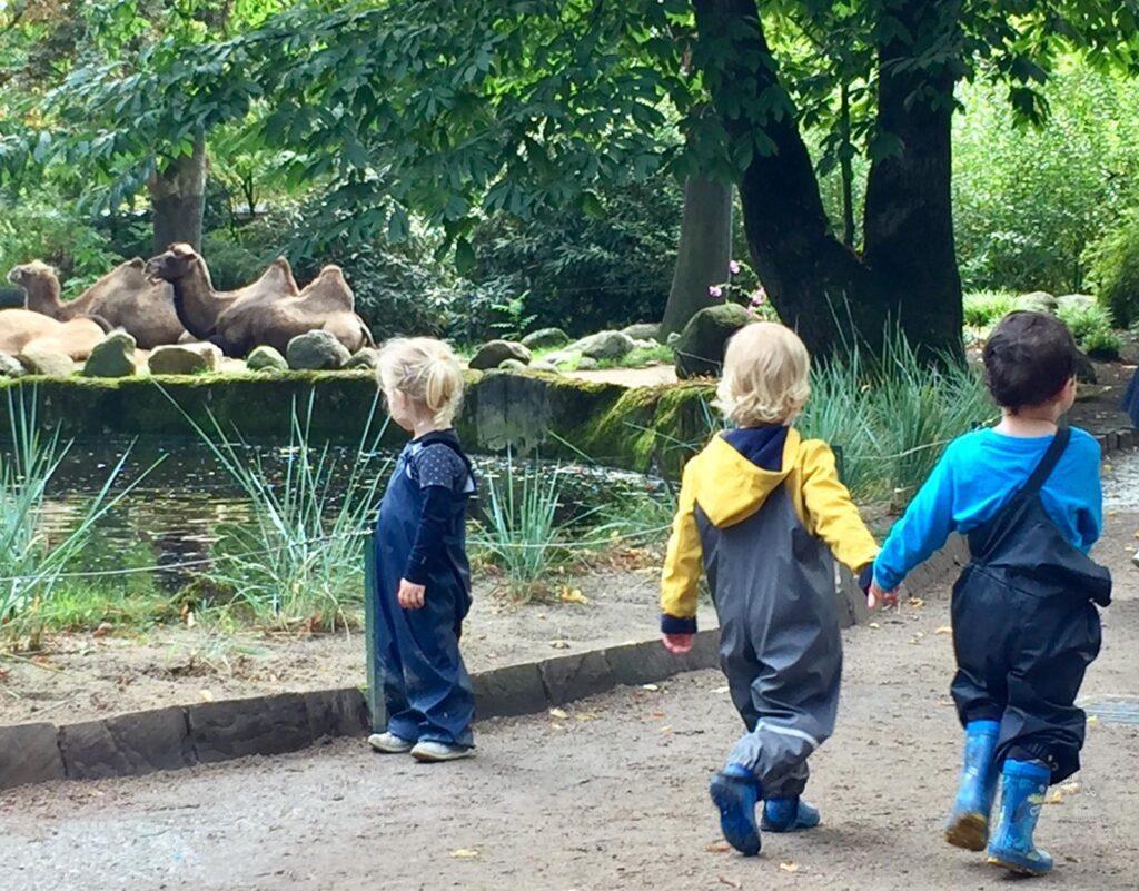 Ein Besuch im Zoo