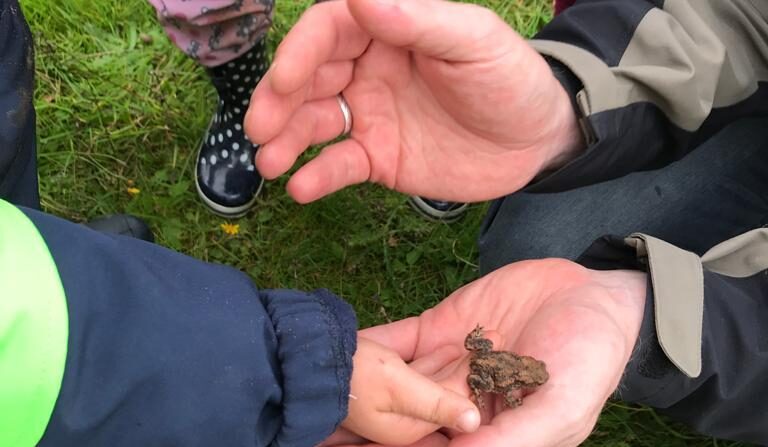 Die Kinder lernen einen Frosch kennen