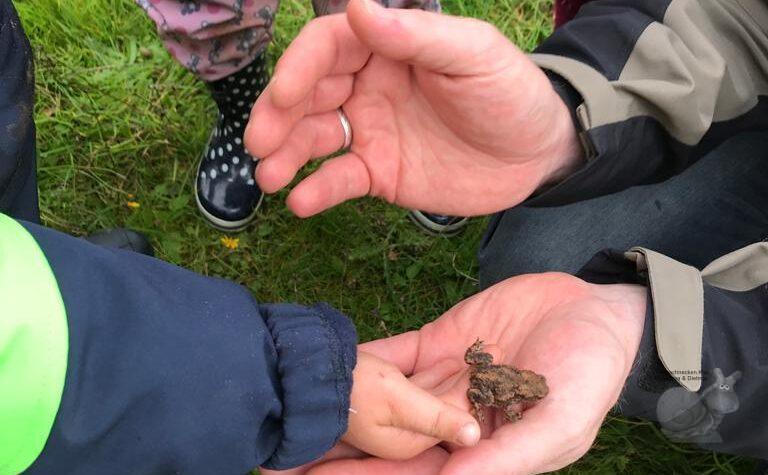Tagesablauf 4 Die Kinder lernen einen Frosch kennen