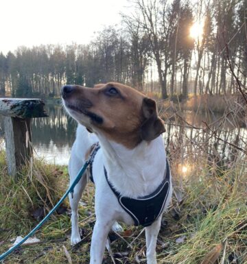 Bild von Karl (Team)