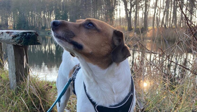 Team-Mitglied: Karl Haverland 7 Bild von Karl (Team)